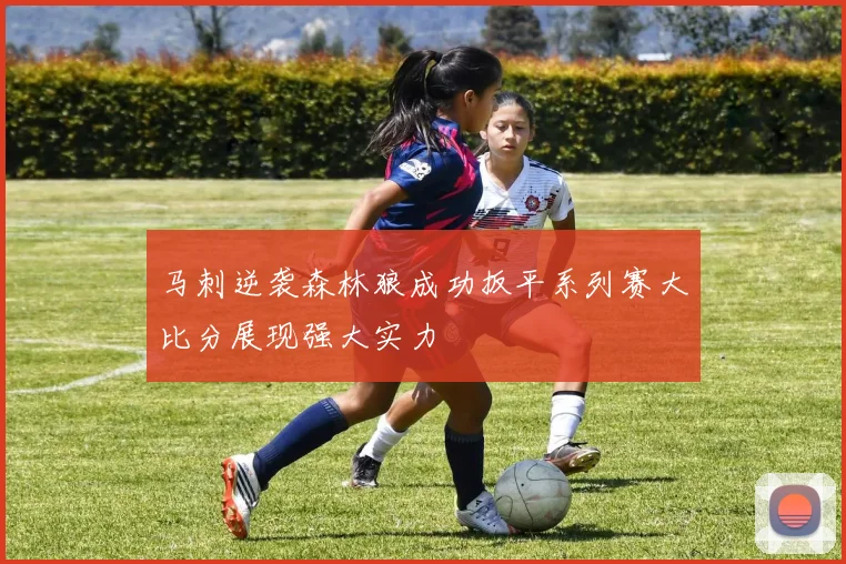 马刺逆袭森林狼成功扳平系列赛大比分展现强大实力