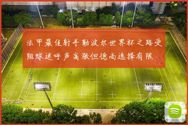 法甲最佳射手勒波尔世界杯之路受阻球迷呼声高涨但德尚选择有限