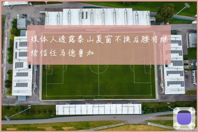 媒体人透露泰山夏窗不换后腰将继续信任马德鲁加